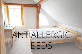 anti-allergic beds